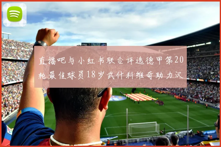 直播吧与小红书联合评选德甲第20轮最佳球员18岁武什科维奇助力汉堡逼平拜仁