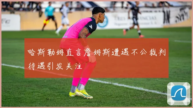 哈斯勒姆直言詹姆斯遭遇不公裁判待遇引发关注
