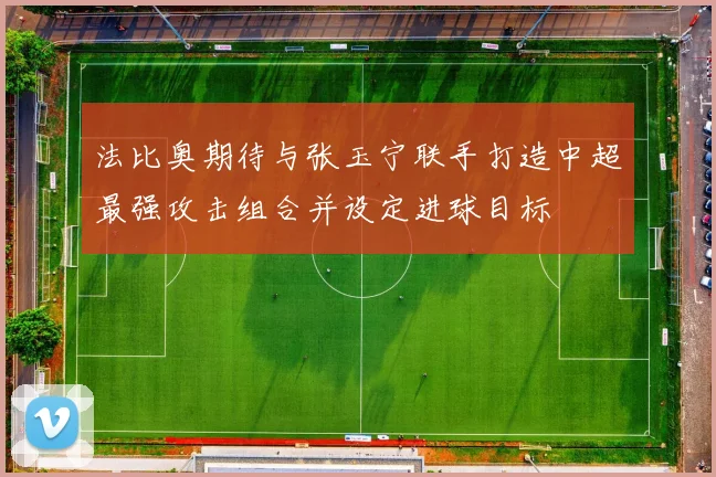 法比奥期待与张玉宁联手打造中超最强攻击组合并设定进球目标