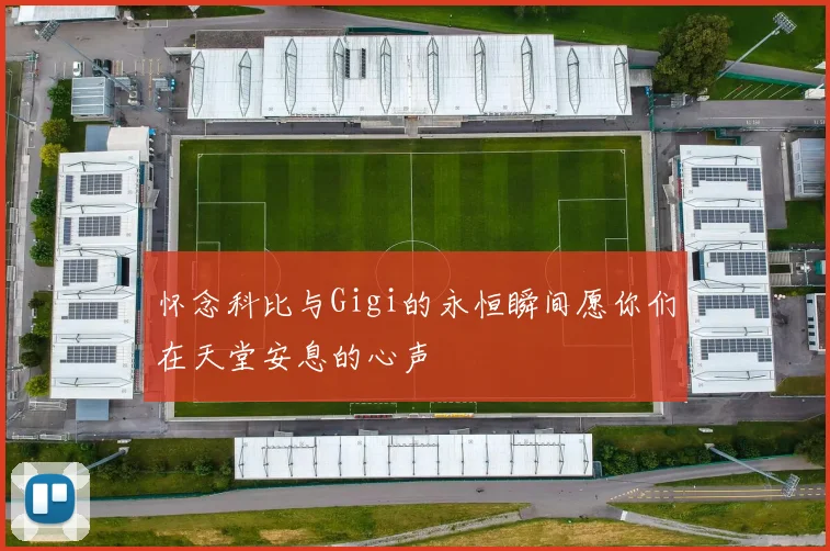 怀念科比与Gigi的永恒瞬间愿你们在天堂安息的心声